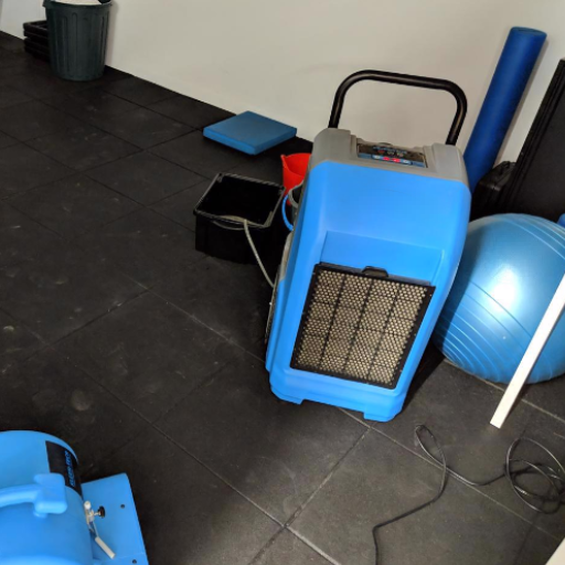 Suitable commercial dehumidifier for water damage restoration