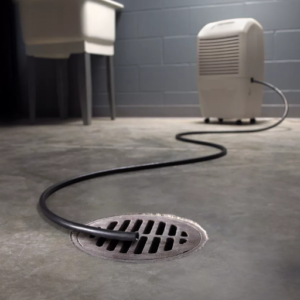 What Are the well-known brands of Dehumidifiers for Basements?