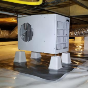 Should I Put a Dehumidifier in My Crawl Space?