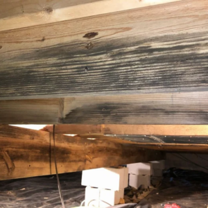 What is Crawl Space Encapsulation?