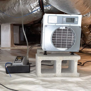 What is a Crawl Space Dehumidifier?
