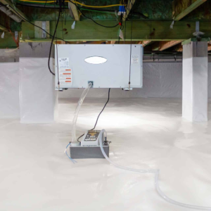 How to Choose the Right Dehumidifier for Your Crawl Space