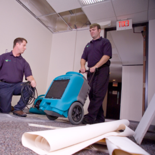 dehumidification services