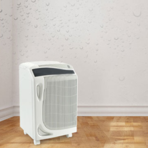 How Can Dehumidification Services Help with Water Damage?