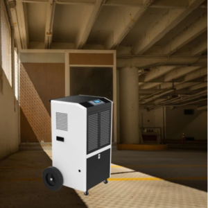 What to Expect from Professional Dehumidification Services?