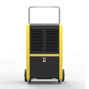 Choosing the Right Dehumidification Solution for Your Needs