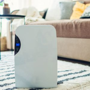 How to choose the right dehumidifier for your home?