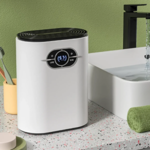 Why is a dehumidifier Important?