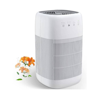 Where Should You Install Your Dehumidifier?