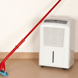 What Maintenance Steps Prevent Leaky Dehumidifier Problems?