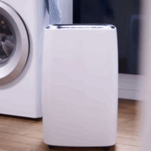 dehumidifier leaking