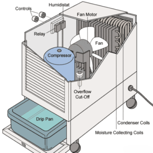 How do I fix my dehumidifier if it is not collecting water?