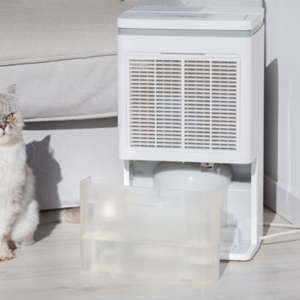 What components should I check if my dehumidifier is not collecting water?