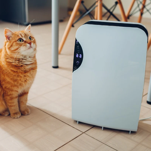 dehumidifier not working