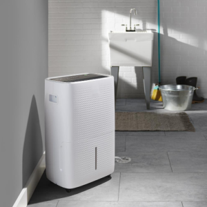 How to Choose the right Dehumidifier in 2024?