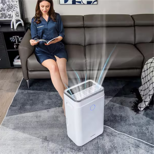 Can a Portable Dehumidifier Replace an Air Conditioner?