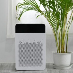 What are the main differences in functionality: air purifier vs dehumidifier?