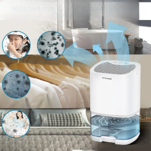 Can you use a dehumidifier and an air purifier combo?