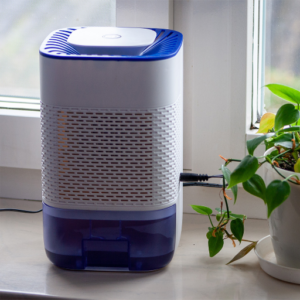 What Is a Dehumidifier and How Does It Function?