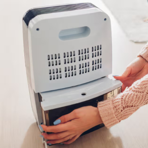 Why Might You Need a Dehumidifier?