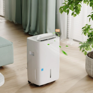 How to Determine the Appropriate Humidity Level for Your Home
