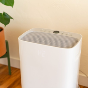 How to Integrate a Dehumidifier to Your HVAC System?