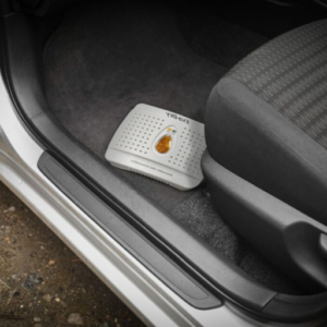 How Can I Remove Damp from My Car Interior?