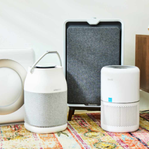 How to Choose Between an Air Purifier and a Dehumidifier?