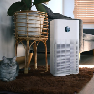 Common Myths: Do Air Purifiers Cause Dry Air?
