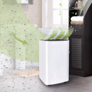 garage dehumidification