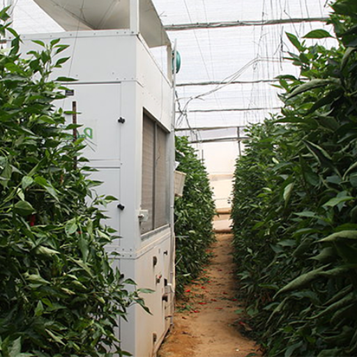 greenhouse dehumidification