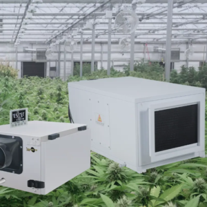 What is Greenhouse Dehumidification, and Why is it Important?