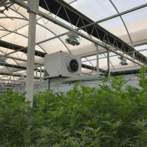 How to Choose the right Dehumidifier for Your Greenhouse?