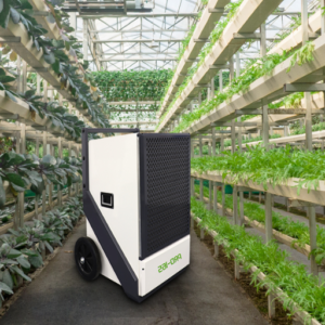 How Does Temperature and Ventilation Affect Greenhouse Humidity?