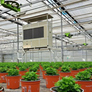 What are the Benefits of Managing Humidity in the Greenhouse?