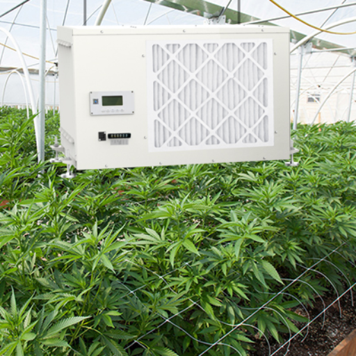 grow room dehumidification