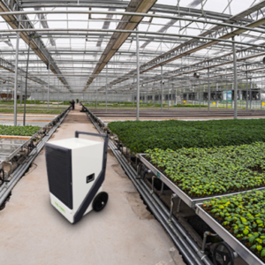 How to Control Humidity in a Grow Room