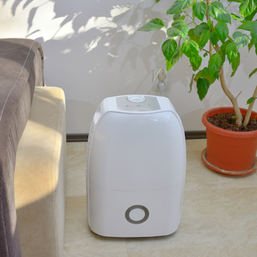 home dehumidification systems