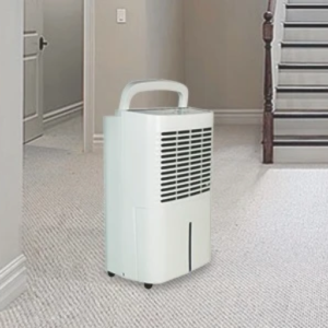How to Install a Whole-House Dehumidifier?