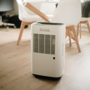Why Using a Dehumidifier is Important