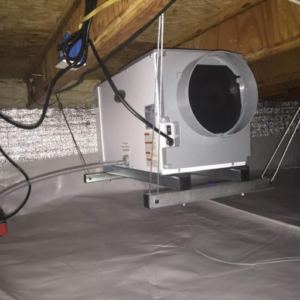 What Are the Common Causes of Crawl Space Humidity?
