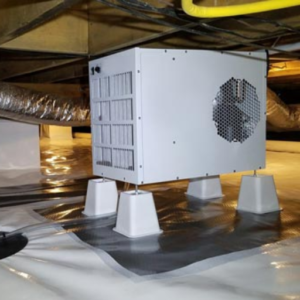 How to Dehumidify a Crawl Space Effectively