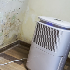 What are the effective ways to dehumidify a house?