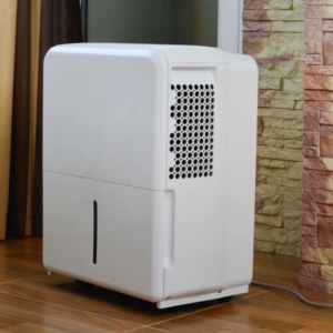 How does a dehumidifier work to reduce moisture in your home?