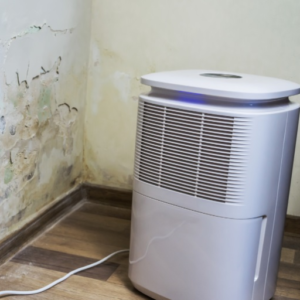 Why is it Important to Dehumidify a Room?