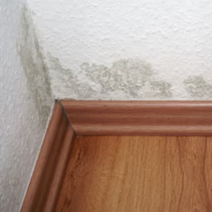 What are Some Natural Ways to Reduce Humidity?