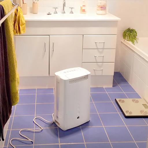 how to dehumidify bathroom