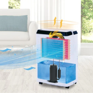 Do You Need a Dehumidifier for Your Home?