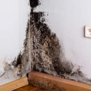 What Causes Excessive Moisture and High Humidity in a Home?