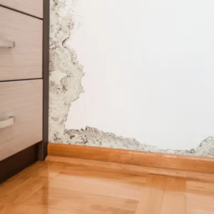 How can I reduce indoor humidity without a dehumidifier?